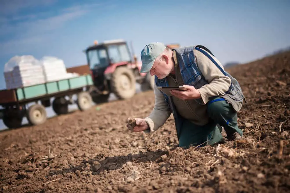 A farmer sampling soil conditions