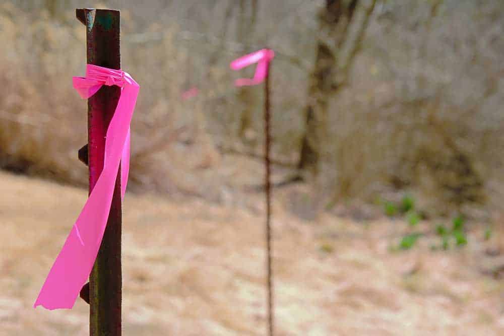 Property line markers with pink ribbons