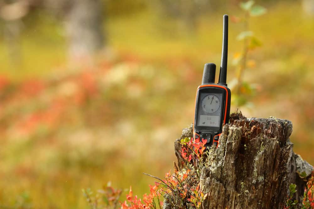 GPS in the forest
