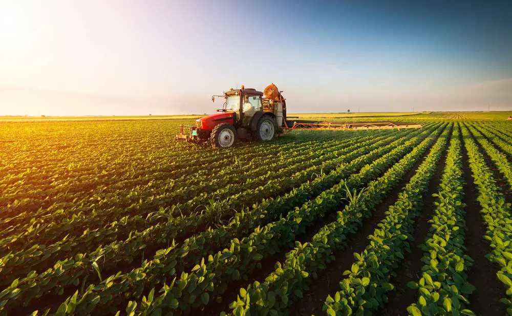 Tractor spraying pesticides on soybean field