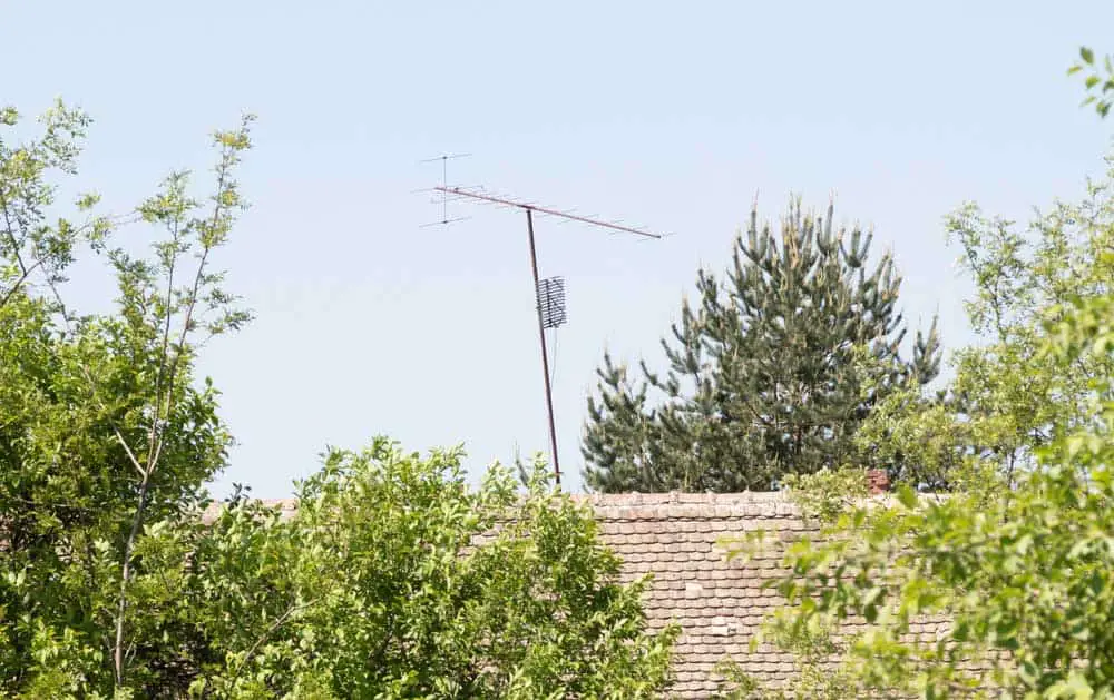 TV Antenna with tall vegetation in the vicinity. 