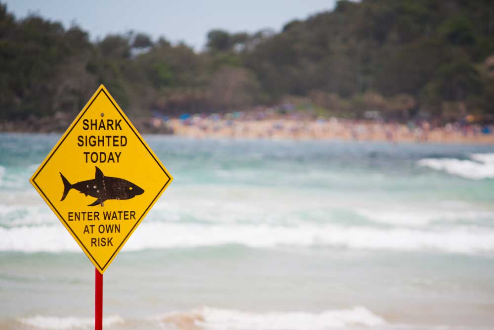 Shark warning sign on the beach