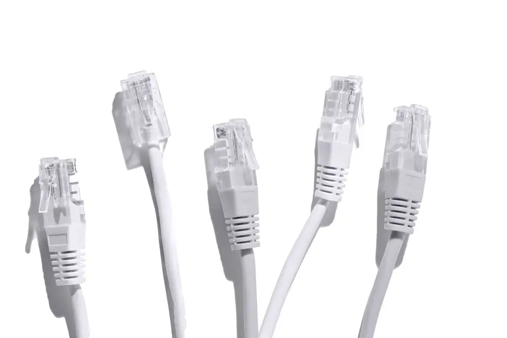 Internet connector cable on white background