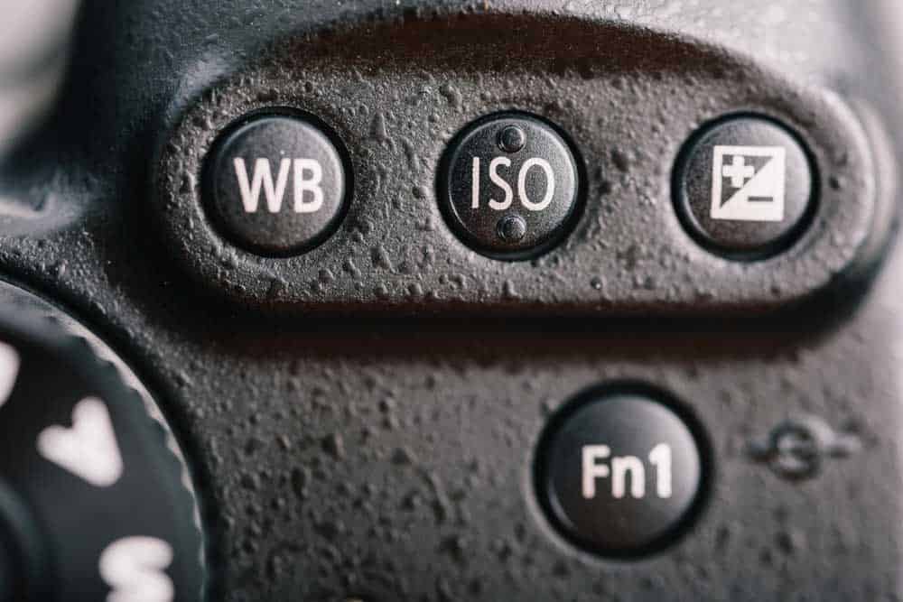A camera’s white balance, ISO, and exposure compensation settings