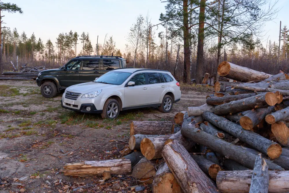 A Subaru Outback in the woods