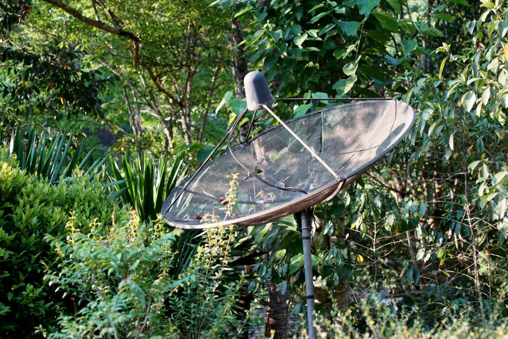 Satellite dish placed in the forest