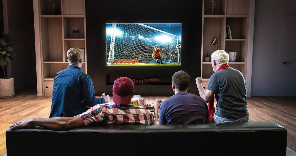 Fans watching a soccer match